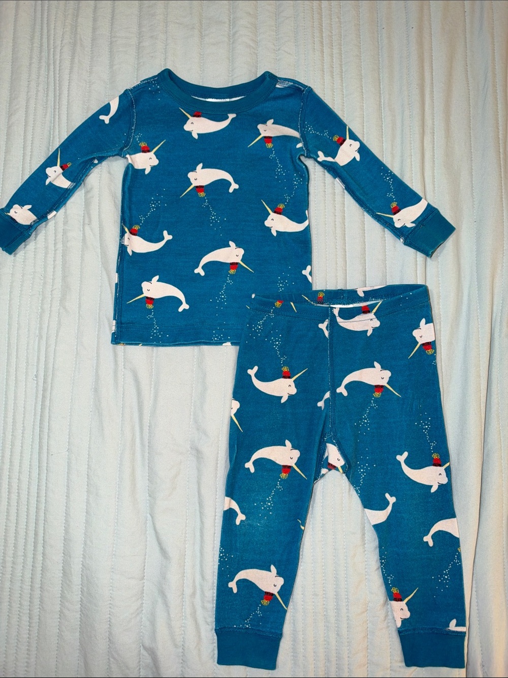 Hanna Andersson Winter Narwhal Pajamas